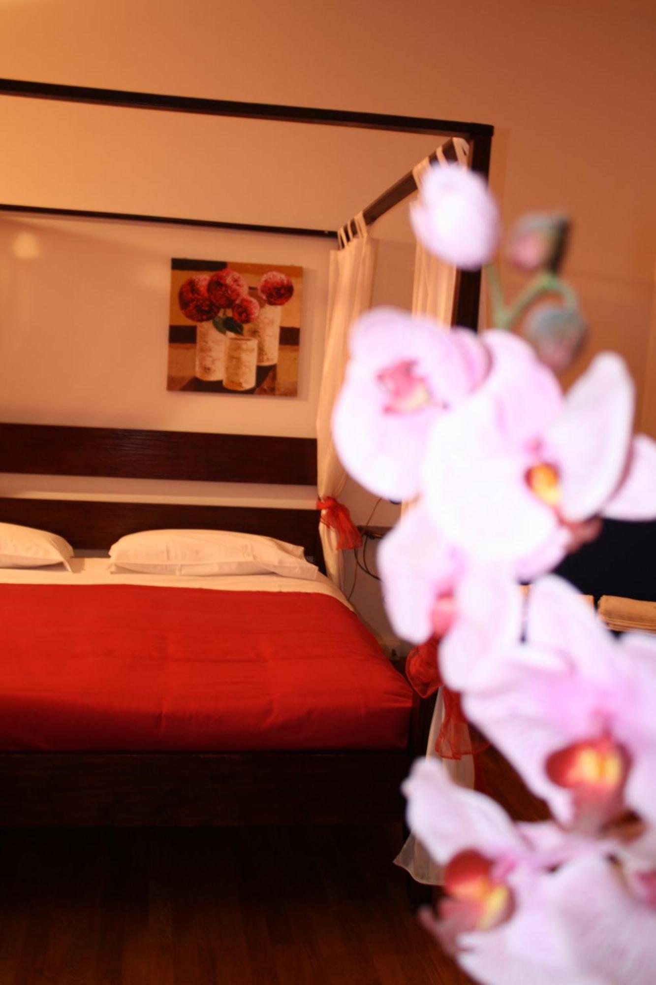 Bed & Breakfast City's House Bergamo